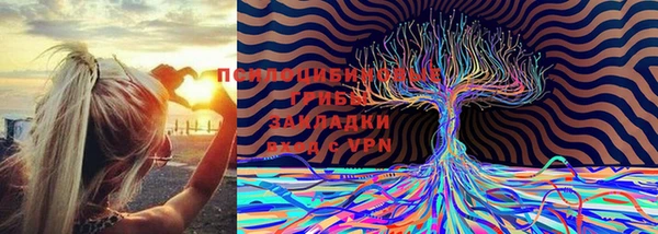 не бодяженный Лагань