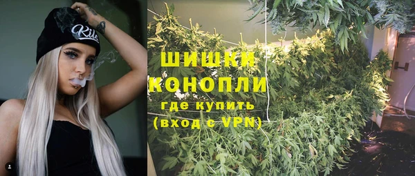 гидропоника Ладушкин