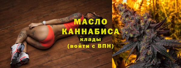 молекула духа Семилуки