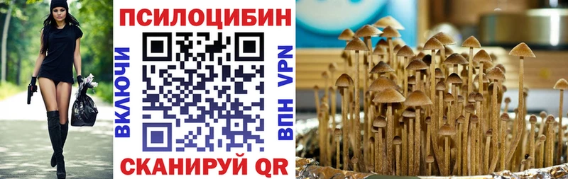 даркнет сайт  блэк спрут ссылка  Галлюциногенные грибы Psilocybine cubensis  Печора 