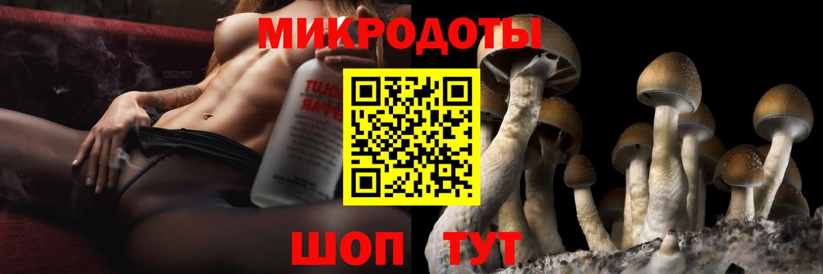 Галлюциногенные грибы Psilocybine cubensis  Вход с VPN  Печора 