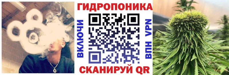 Конопля MAZAR  Печора 