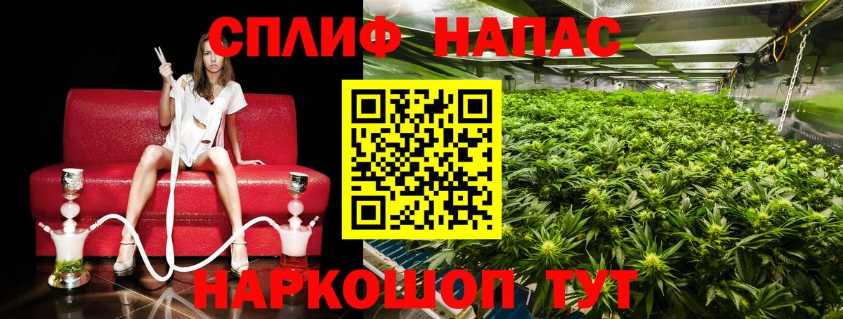 Канабис план  Вход с VPN  Печора  Шишки марихуана планчик 